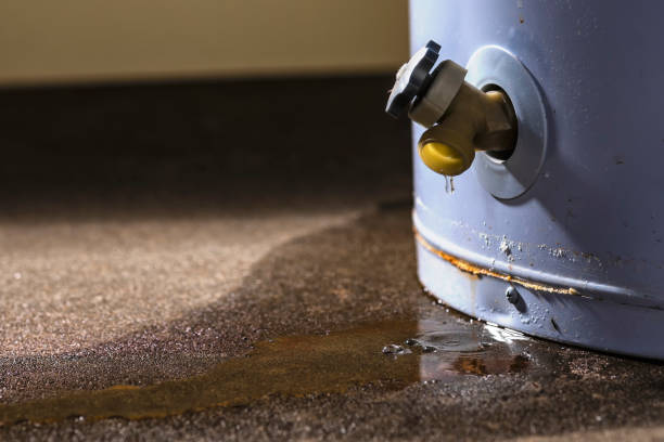 Carpet water damage restoration in Sherwood, WI