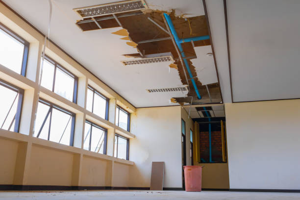Best Residential water damage restoration  in Sherwood, WI