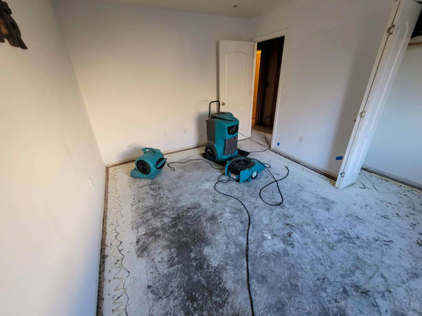 Best Flood damage cleanup  in Sherwood, WI