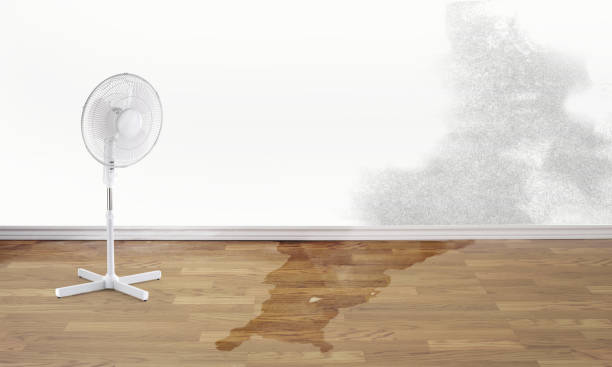 Best Water damage contractors near me  in Sherwood, WI