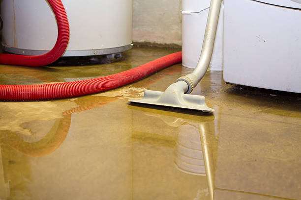 Reliable Sherwood, WI Water damage restoration Solutions
