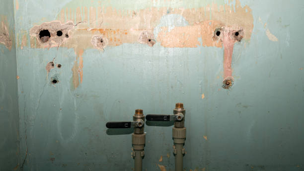 Best Sewage cleanup and water damage restoration  in Sherwood, WI