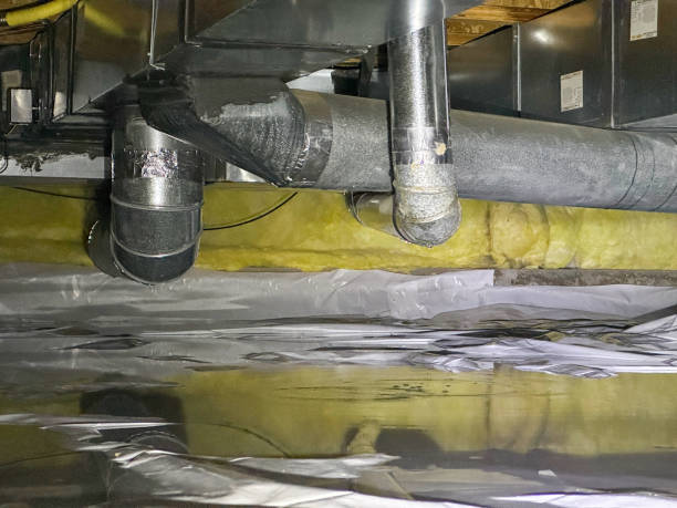 Best Carpet water damage restoration  in Sherwood, WI