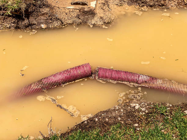 Best Flood restoration services  in Sherwood, WI