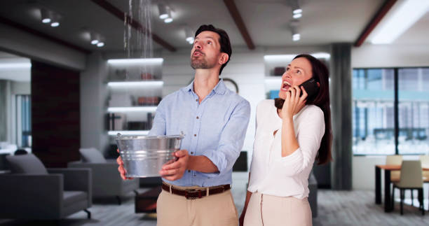 Best Mold removal after water damage  in Sherwood, WI