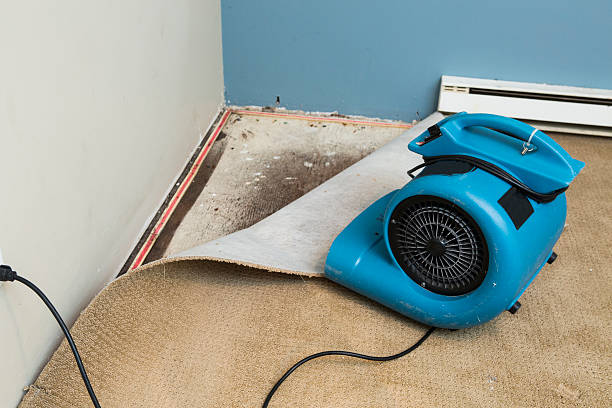 Best Water damage restoration near me  in Sherwood, WI